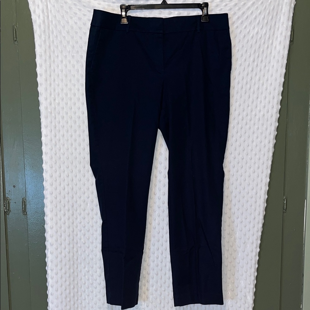 Ann Taylor Factory Navy Blue Trousers